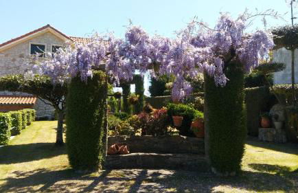 Casa Xardín - Foto 21