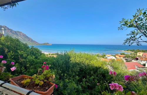 Sea Breeze - Joy Collection - Foto 20