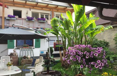 Haus Gisela - Foto 29