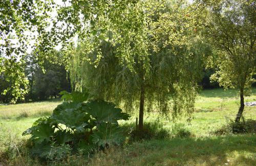 Le Clos Crista Galli - Foto 30