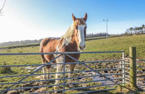 Swallows Rest - Foto 24