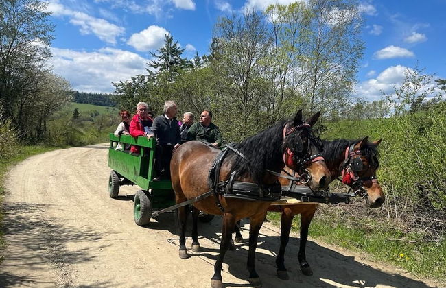 Końska Dolina - Photo 39