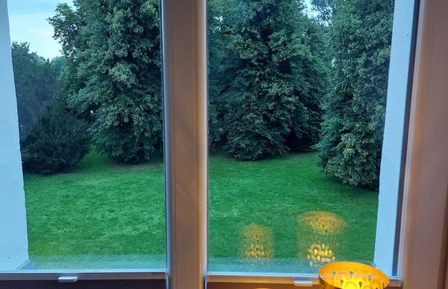 Schloss Hohendorf - Foto 49