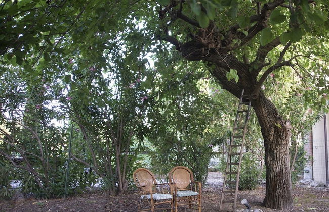 Agriturismo Fontanelle - Foto 51