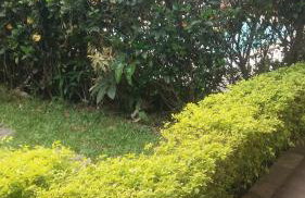 Meu Cantinho - Foto 68