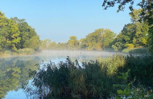 Villa Schuwardt auf Nordend - Foto 38