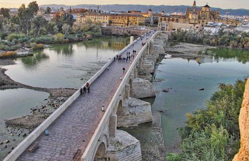 Villa ALJARAL, Espectacular,piscina,chimenea, climatización, wifi - Foto 67