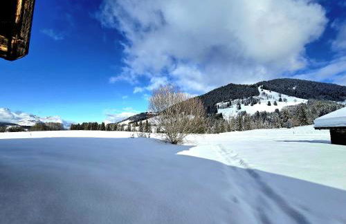 Chalet du Lay Côte 2000 ski in ski out - Foto 24