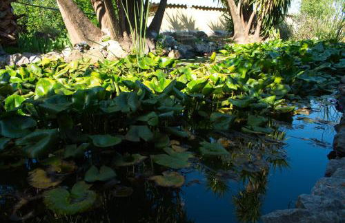 ELGEORGE HOME - Photo 31