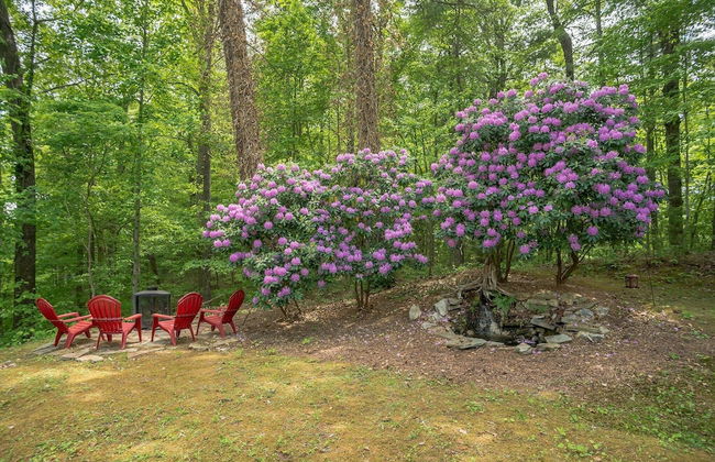 Tree Top Lodge - Gorgeous Lake Cabin With Hot Tub & Magnificent Views Of Forests And Mountains! 3 Bedroom Cabin by Redawning - Foto 32
