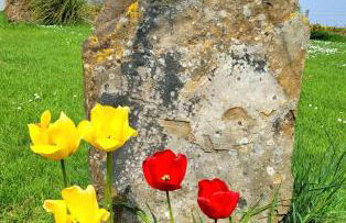 Cater Tober Haven - Photo 21