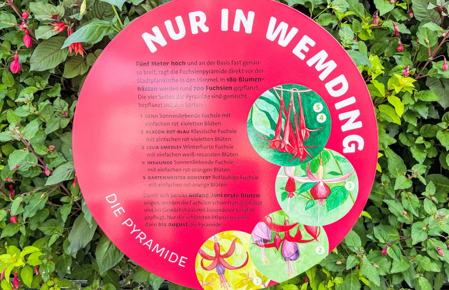 Tiny Haus Soul & Forest - Photo 25