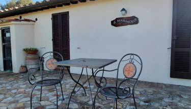 Apartment Mammolo - Agriturismo Salustri - Foto 5