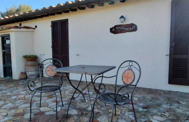 Apartment Mammolo - Agriturismo Salustri - Foto 5