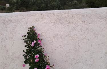 Casa Dos Vales 11 - Foto 31