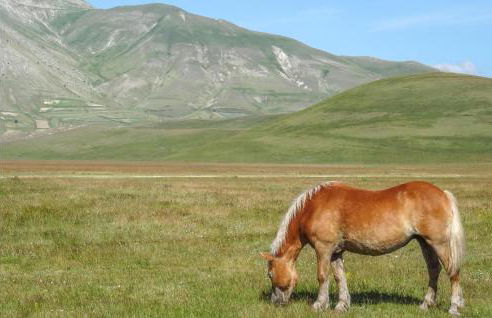 Beautiful Home In Preci With Wifi - Foto 23