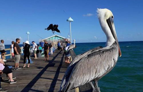 Fort Lauderdale guest house - Foto 32
