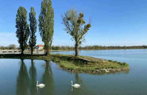 Ferienwohnung Bellissima - Foto 16