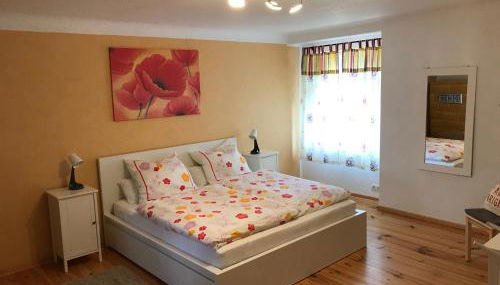 Sanierte möblierte Altbauwohnung am Waldrand für bis zu 6 Personen - Foto 2