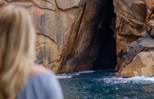 Balade en bateau dans la péninsule de Freycinet et la baie de Wineglass - Photo 4