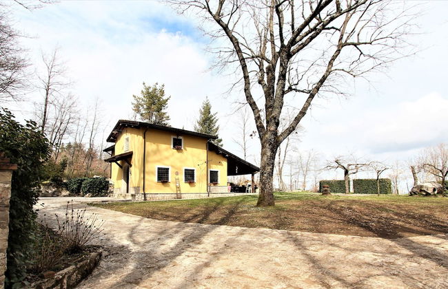 Giardino Boschivo - Foto 16