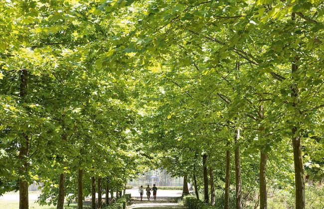 Grecotel LUXME Costa Botanica - Foto 49