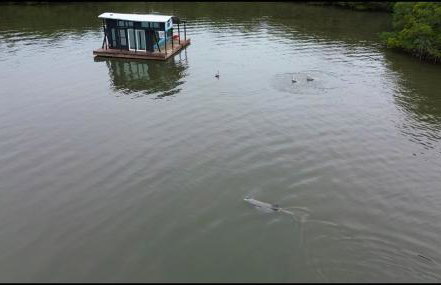 The Burrow-a floating cabin - Photo 7