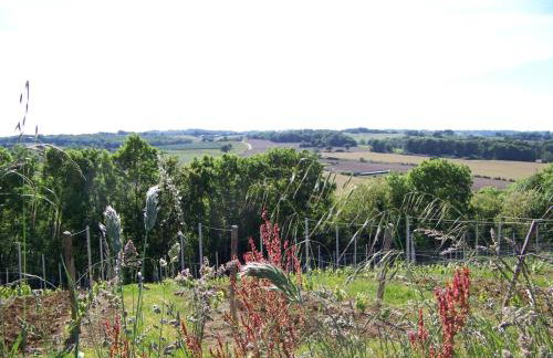 Gîte, jacuzzi & vin au grenier de Madiran - Photo 16