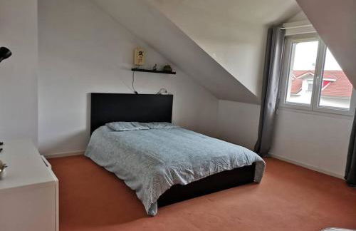 Belle maison spacieuse proche Genève et CERN - Foto 11