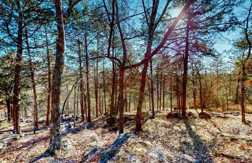 Relax at The Cove Waterfront Getaway - Foto 42