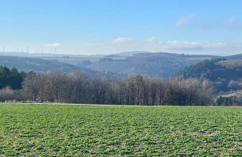 Familienwohnung im Hochwald Nähe Trier und Mosel ruhig und naturnah - Foto 33