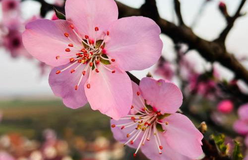 Ferienwohnung Palatina - Auszeit in der Südpfalz - Foto 50