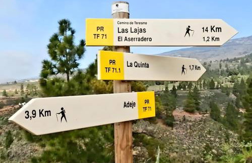 La Casita De Conchita - Photo 2