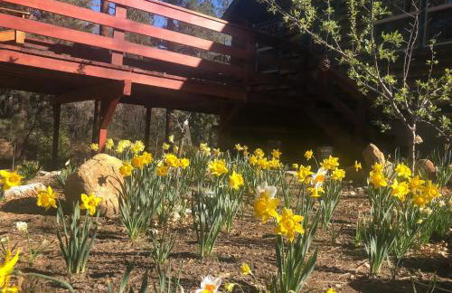 Ahwahnee-be Vintage Cabin - Walk to town! - Foto 9