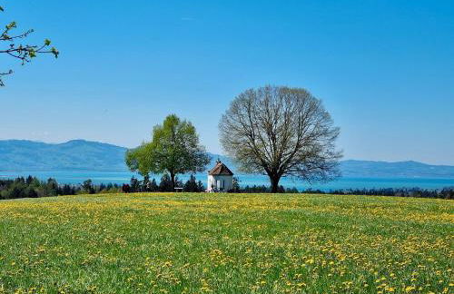 Terrassenwohnung Garten-Oase - Hochwertige Gartenwohnung mit Sonnenterrasse - Foto 19