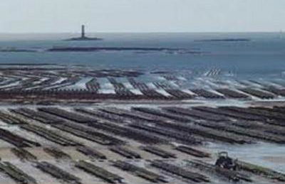 Les Limicoles maison proche mer - Foto 19