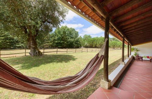 Quinta da Alcaidaria Mor - Foto 20