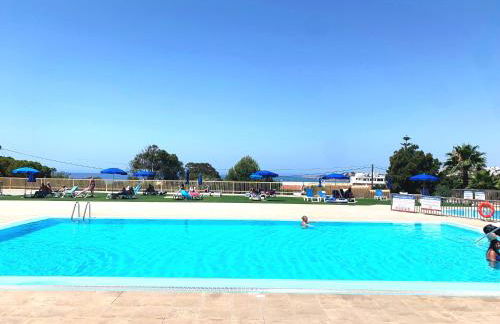 Barracuda A14 - Foto 25