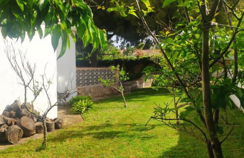 Cala Llanetes - Foto 39