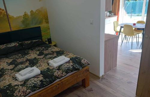 Apartament ZłotogórSKI Lądek-Zdrój - Foto 40