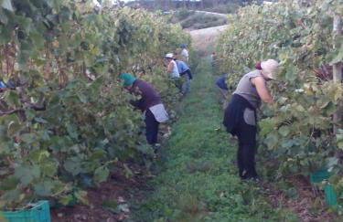 Quinta de Lourosa - Foto 63