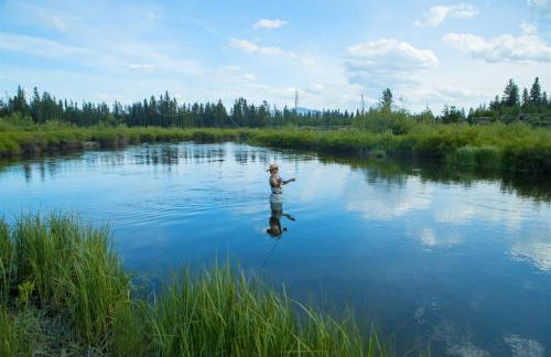 Bluebird Day - Sierra Nook - Foto 20