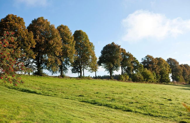 Hapimag Resort Winterberg - Photo 23