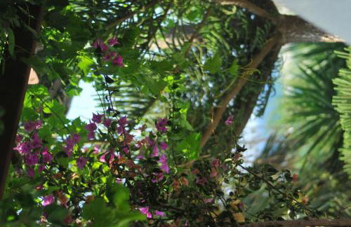 Nikoleta's Studios - Photo 17