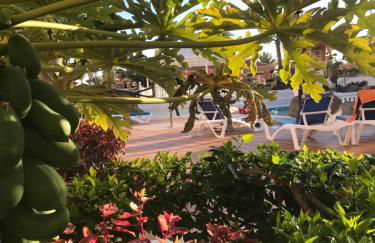 Apartamento Las Vistas Beach - Tenerife Royal Gardens - Photo 3