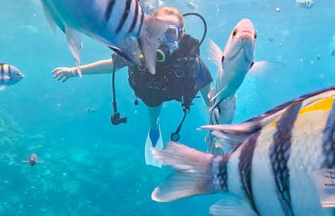 Bautismo de buceo en el Mar Rojo - Foto 16