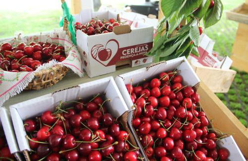 Monte das Cerejas - Foto 56