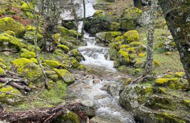 El Secreto del Arroyo - Photo 73