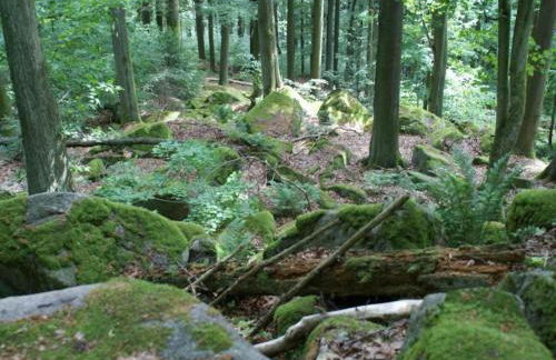 Ferienhaus in Tannesberg for 4 Personen - Foto 35