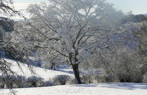 The Motor House - Foto 35